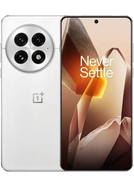 OnePlus 13 12/256GB