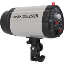 GODOX 250DI Lighting Studio flash 250W Monolight Photography Strobe light