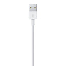 iPhone Lightning to USB Cable