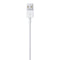 iPhone Lightning to USB Cable