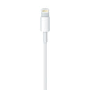 iPhone Lightning to USB Cable