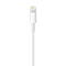 iPhone Lightning to USB Cable