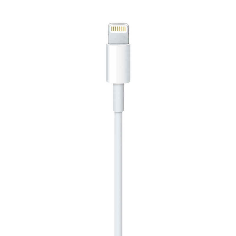 iPhone Lightning to USB Cable