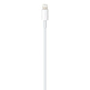 iPhone USB-C to Lightning Cable (1 m)